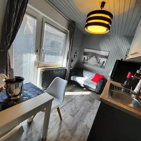 Snezak Apartment Bohinj