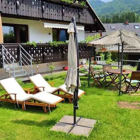 Snezak * Bohinj
