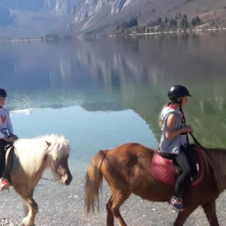 Apartment Snezak Bohinj