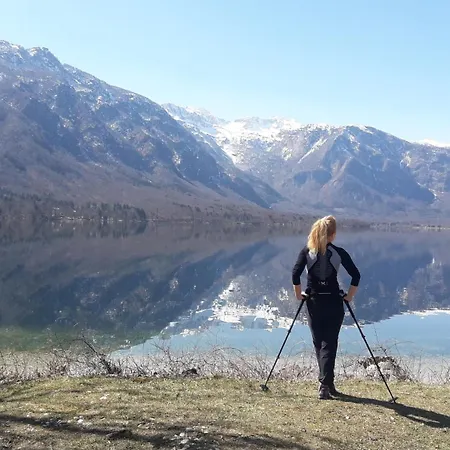 Apartment Snezak Bohinj