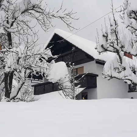 Snezak Apartment Bohinj