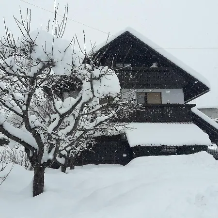 Snezak * Bohinj
