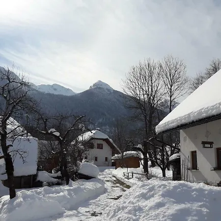 Snezak Apartment Bohinj