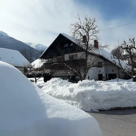 Apartment Snezak Bohinj