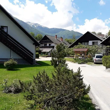 Snezak * Bohinj