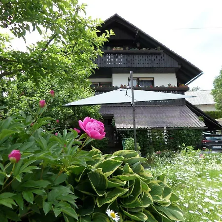 Snezak * Bohinj
