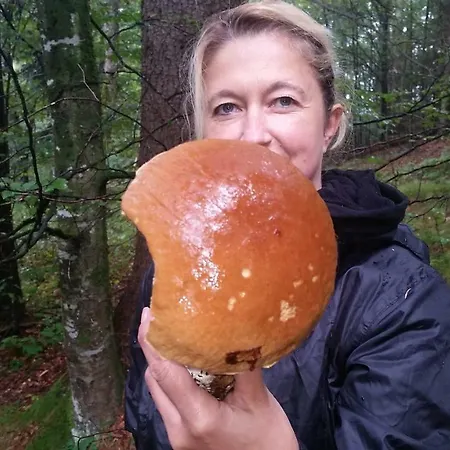 Snezak Apartmán *
