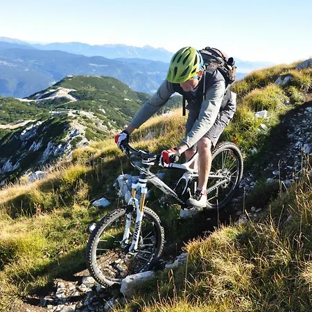 Διαμέρισμα Snezak Bohinj