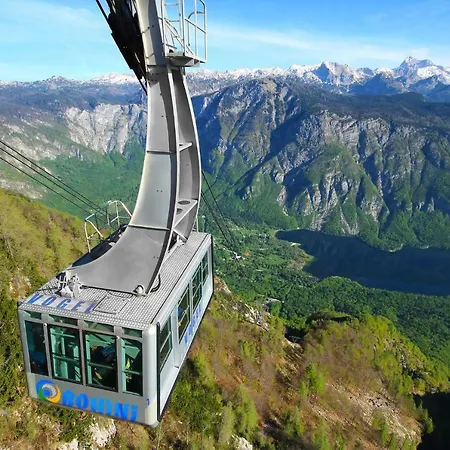 Snezak * Bohinji-tó