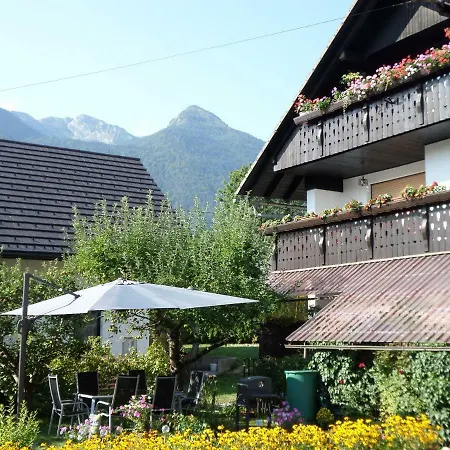 Snezak Bohinj