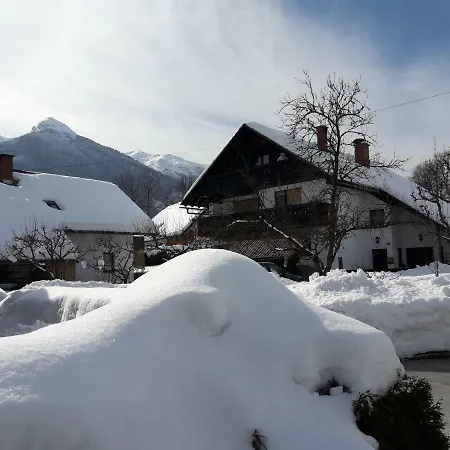 Apartmán Snezak *
