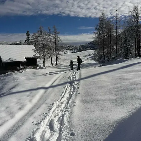 Apartman Snezak Bohinji-tó