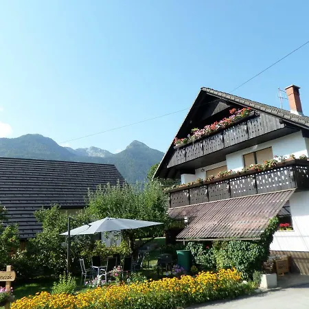 Snezak Appartement *