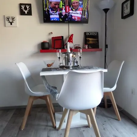 Snezak Apartamento Bohinj
