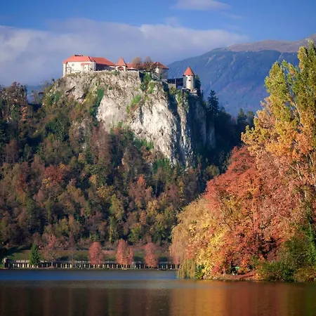 Snezak Bohinji-tó