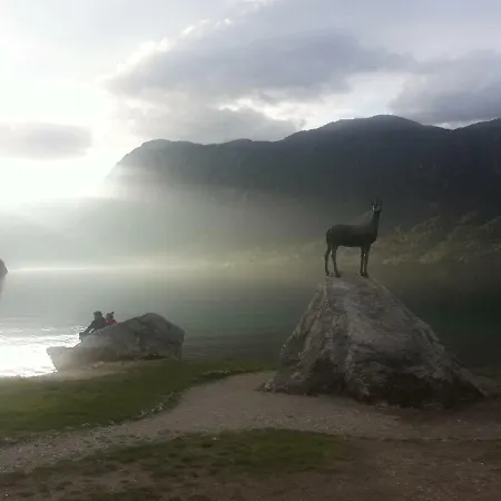 Snezak アパート *