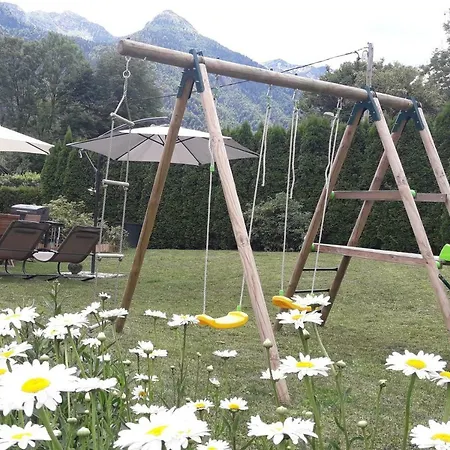 Snezak * Bohinji-tó