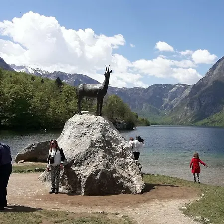 Snezak * Bohinji-tó