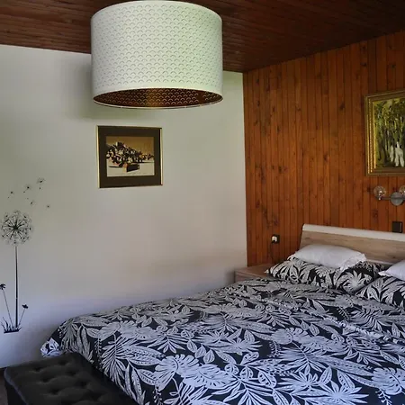 아파트 Snezak 보히니