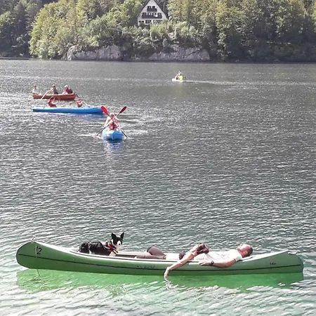 Snezak * Bohinj