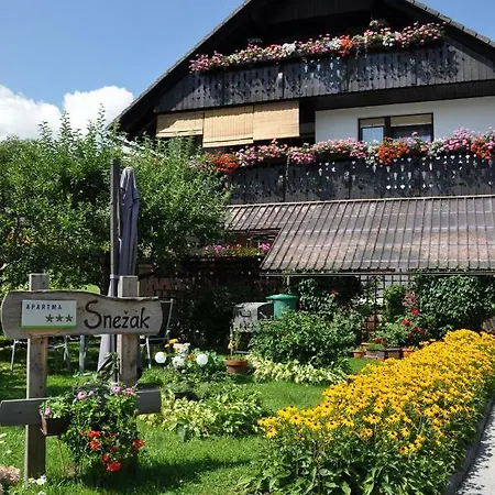 Snezak Bohinji-tó