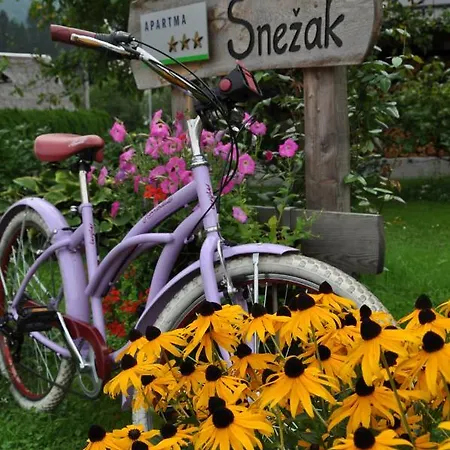 Snezak Apartman